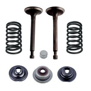 Kit Válvulas Motor Gerador Husqvarna G3200P Original