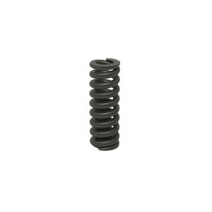 Mola Helicoidal Bomba Karcher HD 10/25 Original