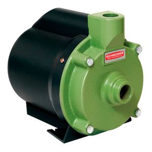 Motobomba Centrifuga Residencial Schneider Bcr-2000 1/2 CV 127 Volts